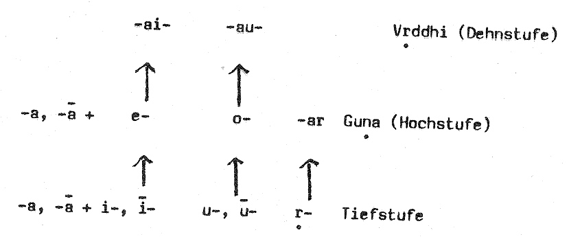 lekt0302.jpg