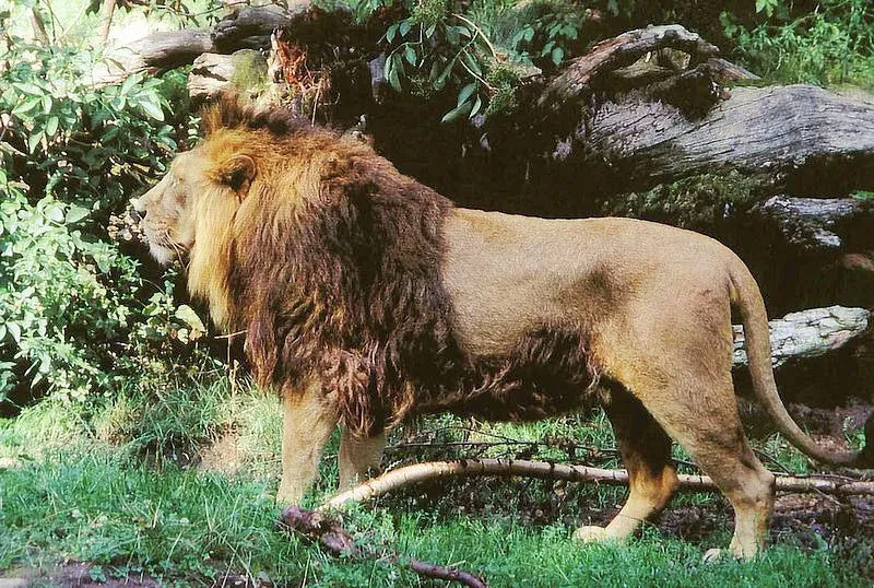 lekt1506.jpg