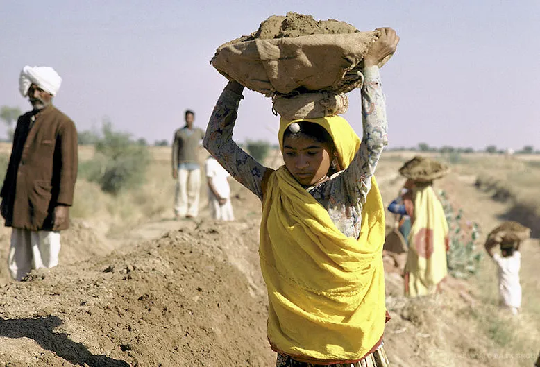 lekt2505.jpg