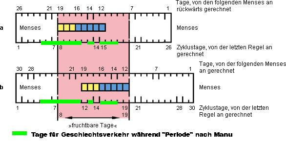 lekt5106.jpg